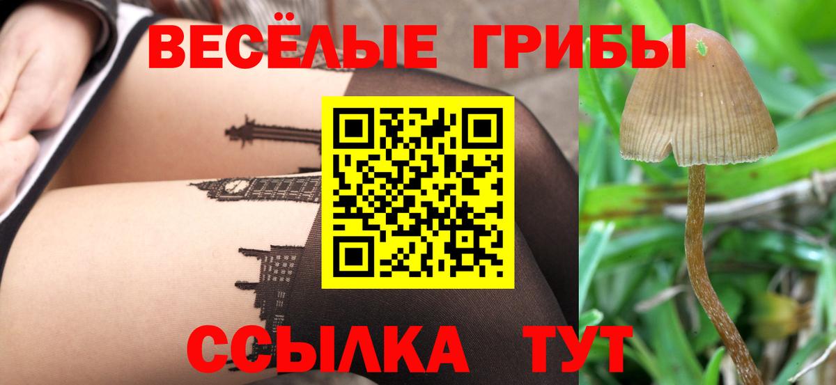 Орёл  Галлюциногенные грибы MAGIC MUSHROOMS  Псилоцибиновые грибы Psilocybine cubensis  Вход с VPN 