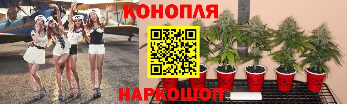Канабис гибрид  Конопля Ganja  Канабис White Widow  Орёл  Вход с VPN  МАРИХУАНА сатива 